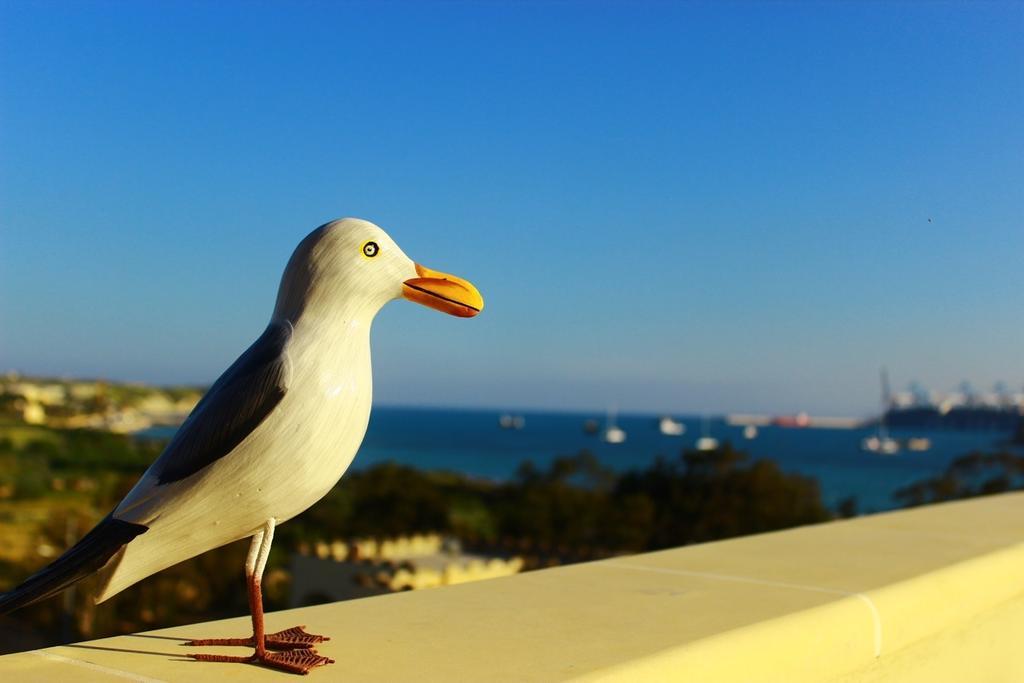 Seagull Penthouse Marsaxlokk Appartement Buitenkant foto